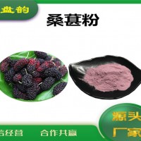 桑葚速溶粉 桑葚粉 廠家發貨