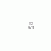 電腦洗板機(jī)DNX-9620G