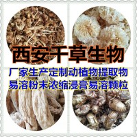 干姜濃縮粉廠家生產天然水溶性植物提取物 定做流浸膏顆粒
