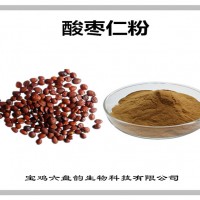 酸棗仁濃縮粉 酸棗仁粉 生產廠家