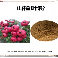 山楂葉濃縮粉 山楂葉粉 生產廠家