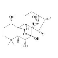 冬凌草甲素28957-04-2上海惠誠生物供應