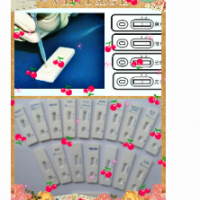 銅綠假單孢菌快速檢測卡15分鐘出結(jié)果