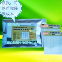 霉菌酵母菌薄膜快速測試片