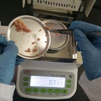 肉類水分測定儀高效快速檢測肉類含水量