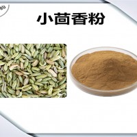 小茴香濃縮粉 小茴香粉 生產廠家