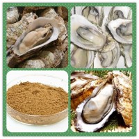 牡蠣提取物粉 牡蠣濃縮粉