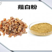 薤白濃縮粉 可定制 生產廠家