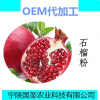 石榴粉 石榴果汁粉水果粉飲品原料廠家批發現貨包郵噴霧干燥粉