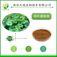 荷葉萃取物廠家供應荷葉粉