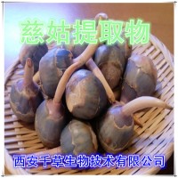 慈姑提取物慈姑濃縮粉廠家生產植物提取物