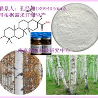 白樺酯酸標準品98%含量科研用白樺樹皮提取物