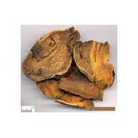 供應(yīng)大黃提取物