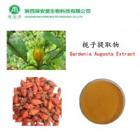 廠家現(xiàn)貨供應(yīng)梔子提取物梔子苷梔子甙15%