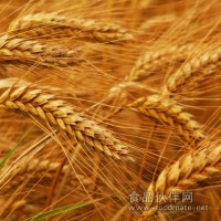稻谷檢測報告,稻谷農藥殘留檢測機構