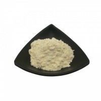 荸薺抽取物荸薺粉  斯諾特生物長(zhǎng)期現(xiàn)貨