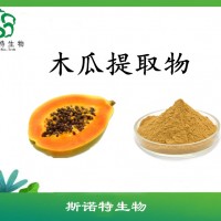 木瓜提取物   全水溶木瓜濃縮粉   速溶粉   斯諾特