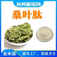 桑葉肽  桑葉小分子肽  易溶解