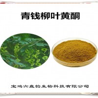 青錢柳葉提取物 青錢柳葉黃酮 植物提取物