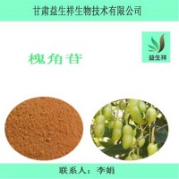 槐角甙98% 槐果苷 槐角甙   一公斤起訂