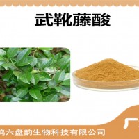 武靴藤提取物 武靴藤酸 廠家供應(yīng)