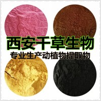 皺皮木瓜提取物 皺皮木瓜濃縮粉 皺皮木瓜浸膏粉