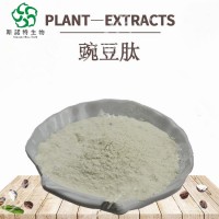 豌豆肽粉   豌豆蛋白肽小分子肽易吸收