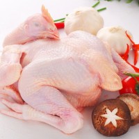 雞肉抗生素檢測項目,雞肉獸藥檢測報告,雞肉營養檢測機構