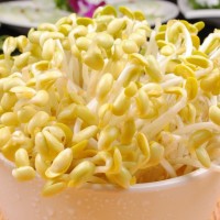 黃豆芽營養(yǎng)檢測機構,農殘檢測項目,重金屬檢測報告