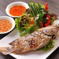 羅非魚檢測報告,羅非魚抗生素檢測機構,羅非魚營養檢測項目