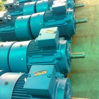 Y132S2-2 7.5KW電機
