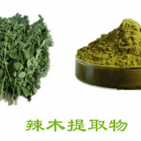 辣木葉提取物 辣木葉粉 速溶辣木葉粉