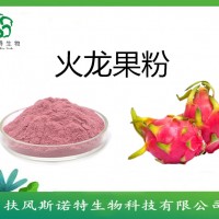 火龍果凍干粉  紅心火龍果粉 25kg起訂發(fā)貨