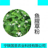 魚腥草提取物10:1 魚腥草濃縮粉多種規格可定制
