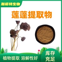 蓮蓬提取物/蓮房提取物10:1 蓮房粉 廠家供應