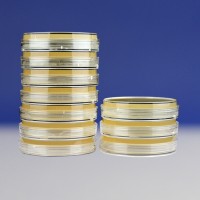 MFC瓊脂平板（9cm）