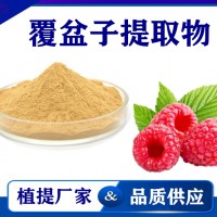 覆盆子提取物 水溶性覆盆子粉覆盆子速溶粉 斯諾特生物