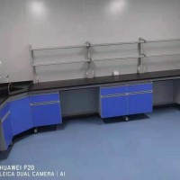 白沙實驗室家具、實驗臺 、通風(fēng)柜、儀器臺供應(yīng)商