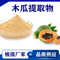 木瓜提取物 廠家供應水溶性木瓜粉 藥食同源