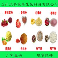 抹茶提取物 抹茶粉   現貨包郵