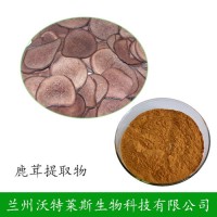 鹿茸草提取物 廠家直銷包郵 1公斤起訂