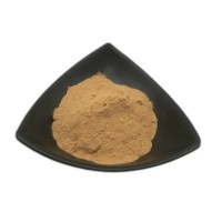 麥冬多糖麥冬水溶性粉提取物實力廠家
