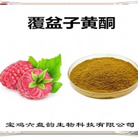 覆盆子提取物 覆盆子黃酮 廠家供應