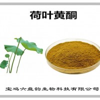 荷葉提取物 荷葉黃酮 廠家供應