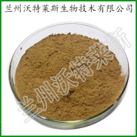 苦丁茶 植物原料 苦丁茶提取物