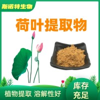 荷葉提取物 水溶荷葉堿 荷葉黃酮 廠家發貨