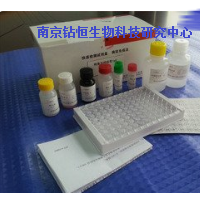 泛酸檢測試劑盒ELISA酶聯(lián)免疫法96孔