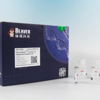 PCR產(chǎn)物純化試劑（磁珠法）
