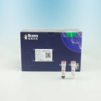 GST融合蛋白純化磁珠