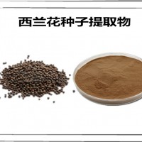 西蘭花種子提取物 新資源食品原料 西蘭花種子粉